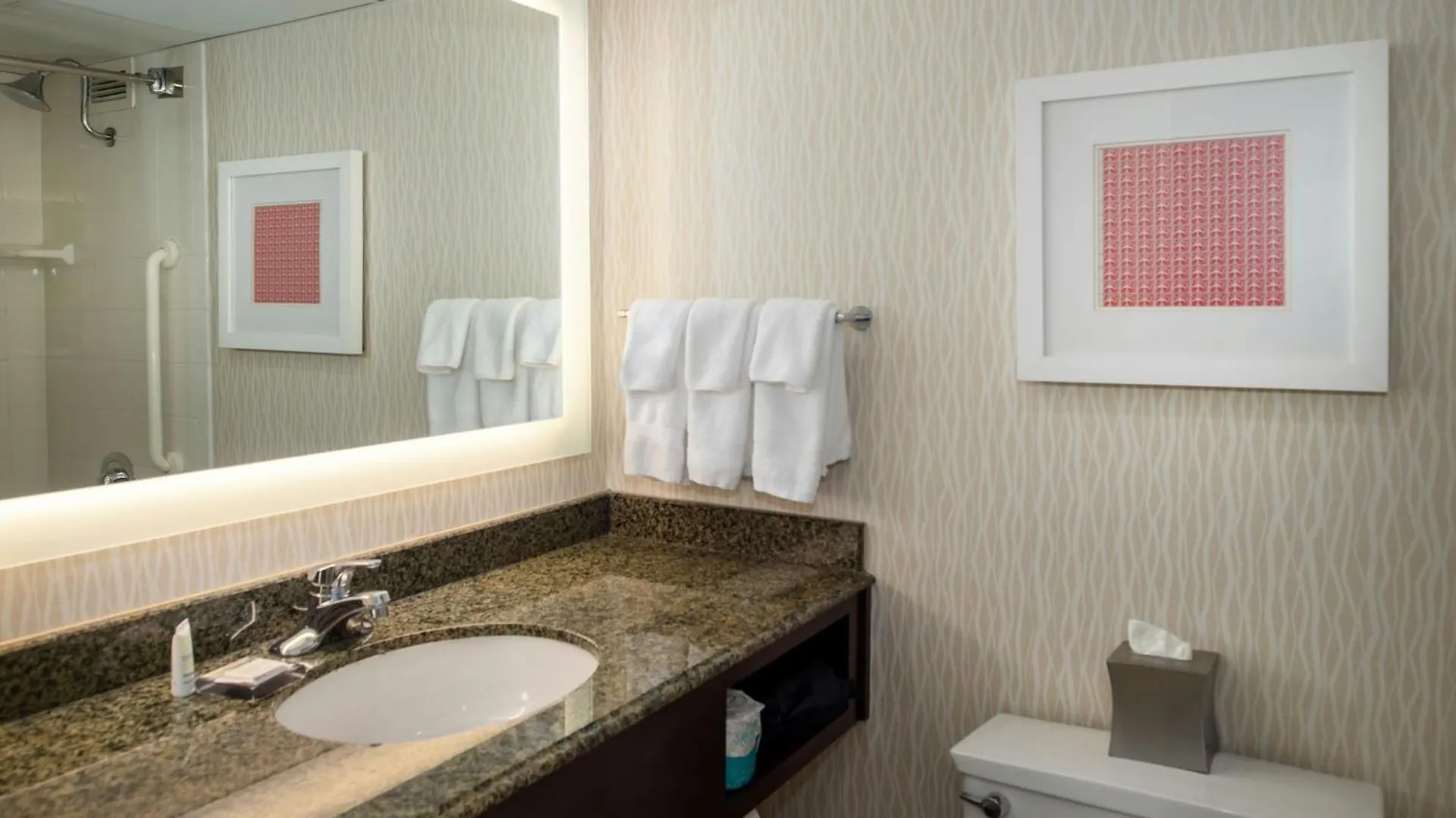 Marriott St. Louis Airport Hotel Edmundson 3*,  United States